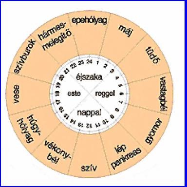 Rezgésexpozíció (Vibráció) - OSHWiki