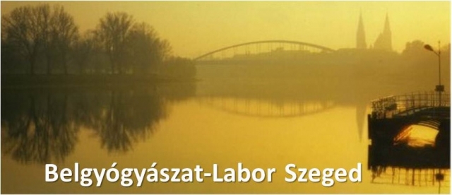 Belgyógyászat-Labor Szeged